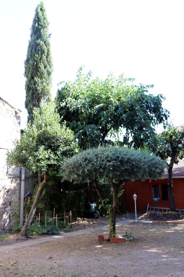 La Maison Du Soleil Vauvert Bagian luar foto